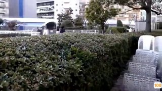 国产一区视频在线🈲久久精品亚洲成在人线AV麻豆🈲欧美日av无码一二三区